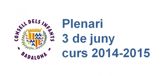 plenari CIB 3.6.2015